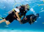 Scuba diving