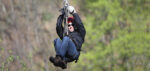 Discover Hidden Treasure: Zip Lining