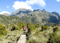 https://www.maraexpeditions.com/rwenzori-5/