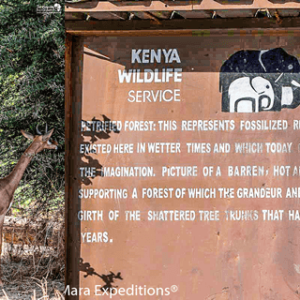 Lake Turkana, Chalbi Desert & Samburu Camping Safari. The ultimate rugged adventure to the North of Kenya, hot dusty Chalbi desert and the beautiful Jade Sea