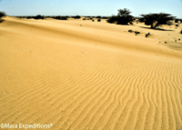 https://www.maraexpeditions.com/turkana-sand-dunes/